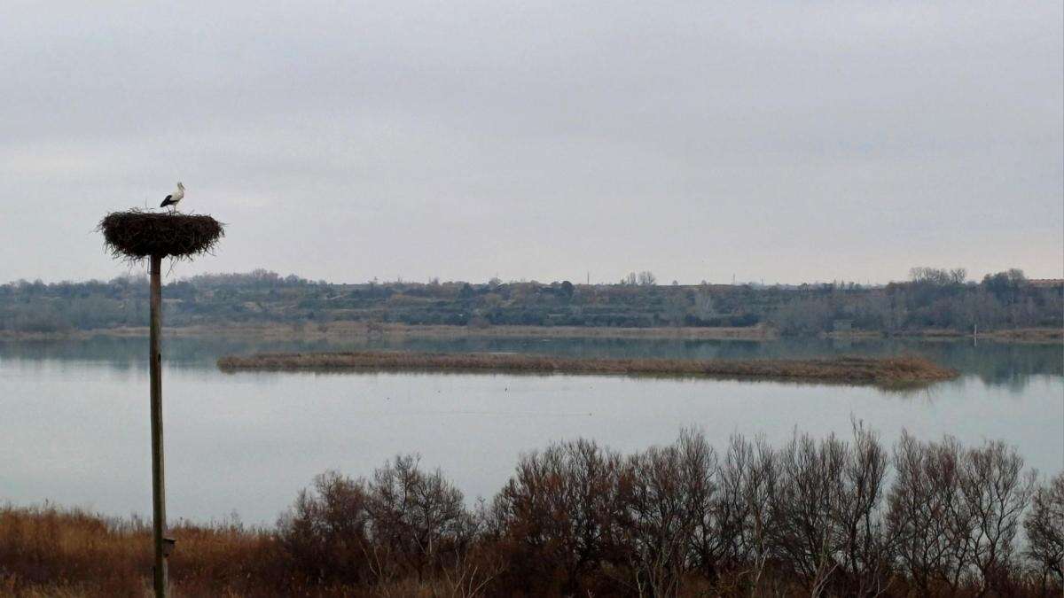 Las casas nido del Estany d'Ivars i Vila-sana