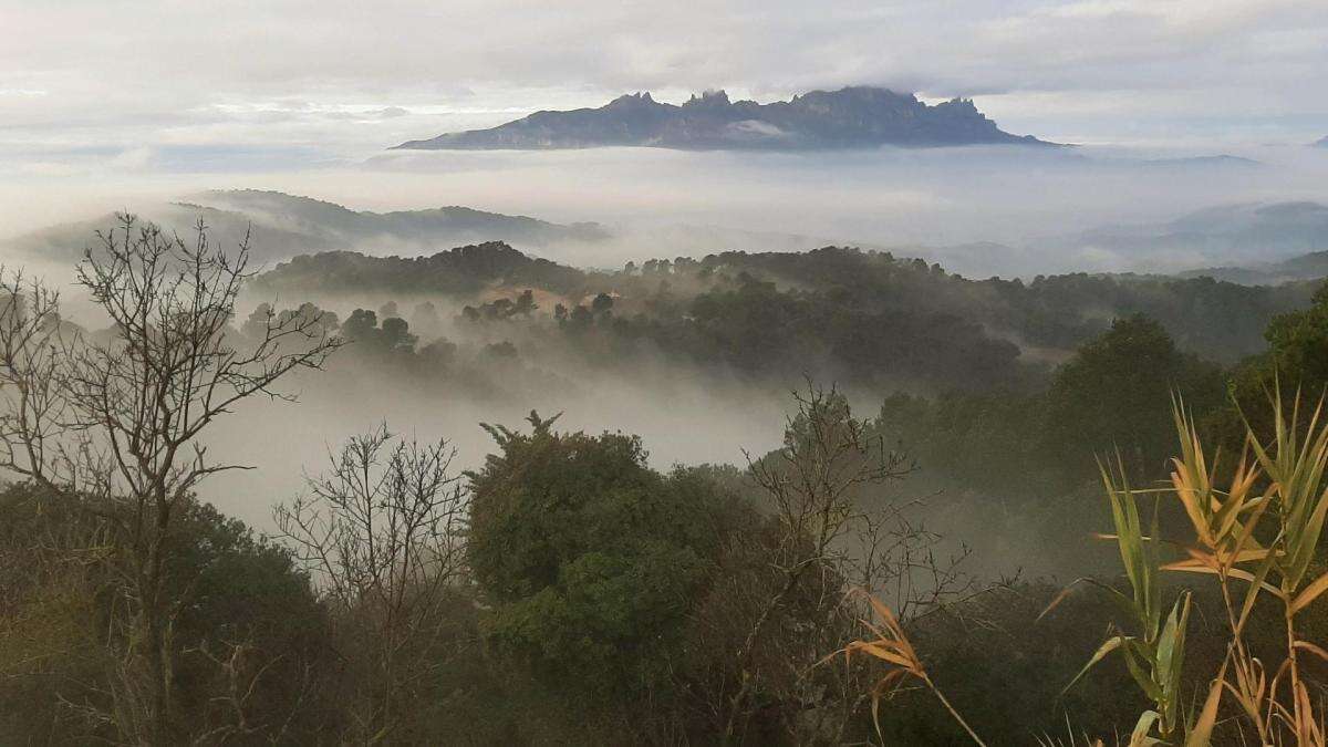 Sant Esteve trae nieblas