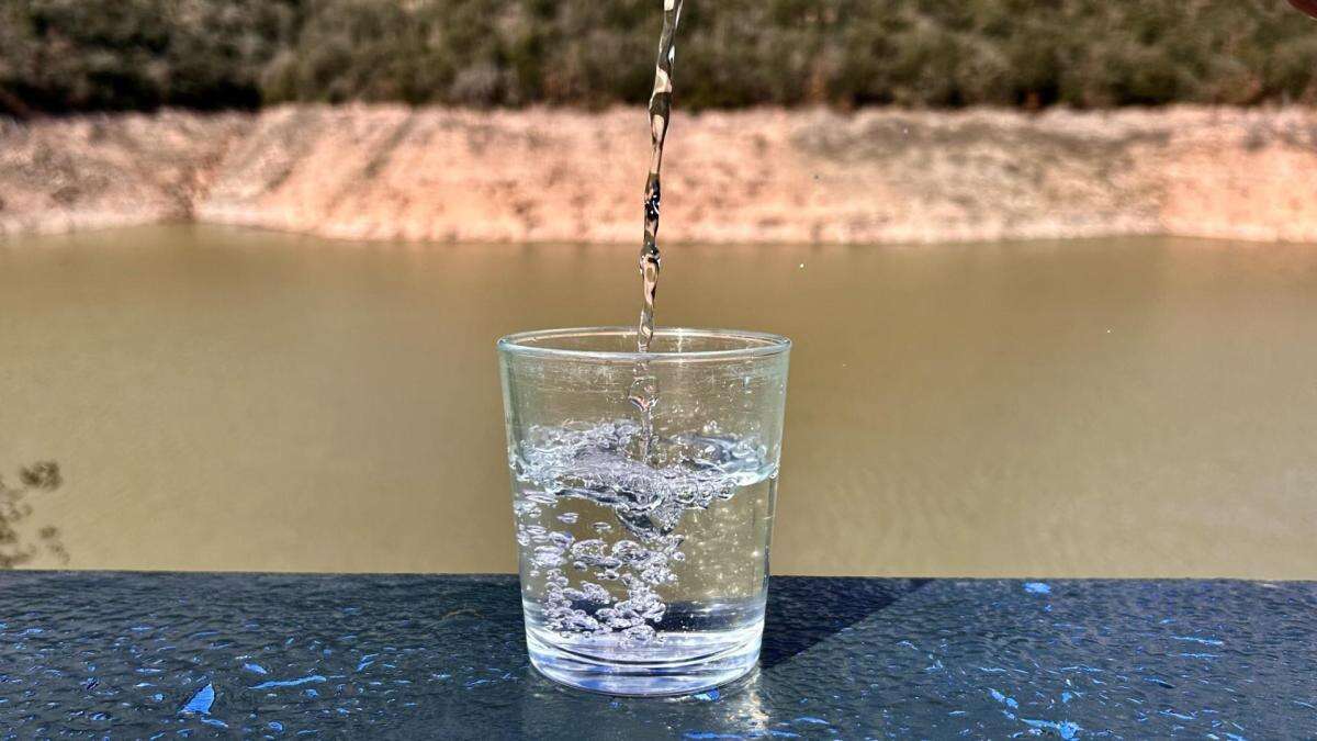 Los dilemas de la sequía en el pantano de Sau