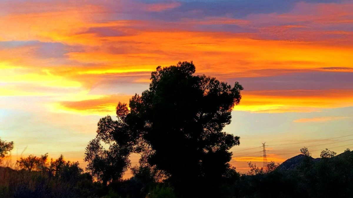 No son auroras, pero también maravillan