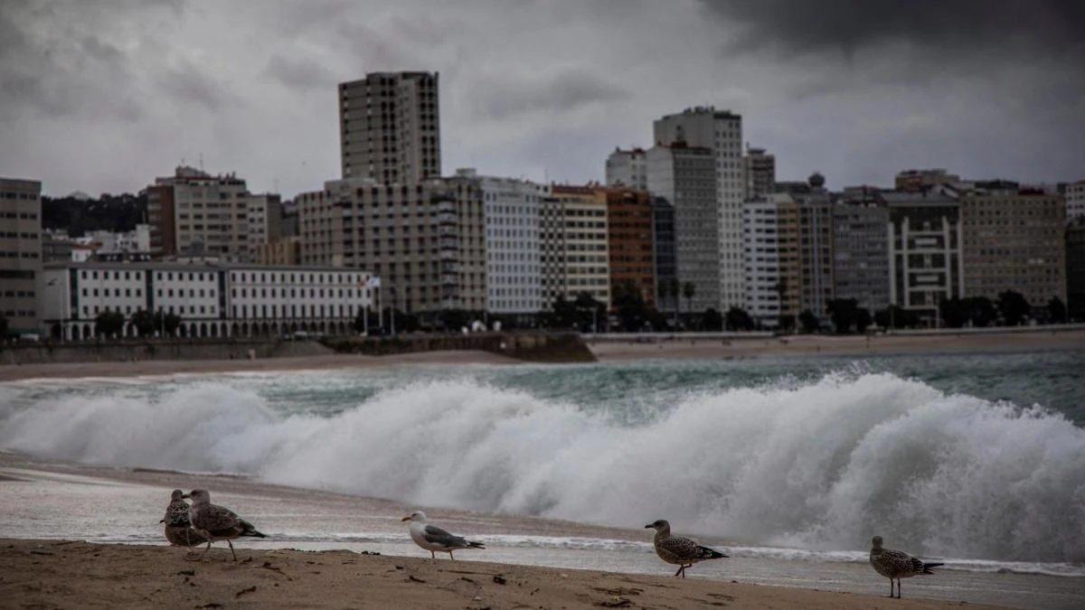 A Coruña ya es el primer municipio de una comunidad del PP con el alquiler intervenido