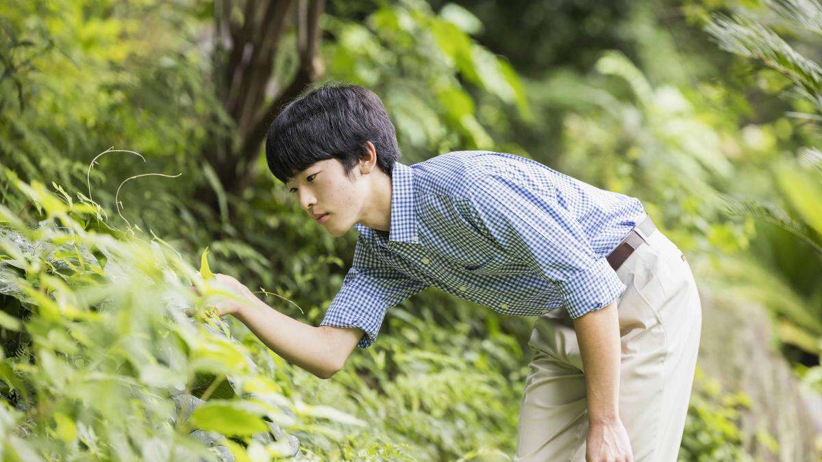 El príncipe Hisahito de Japón revela sus planes de estudio tras el escándalo del plagio