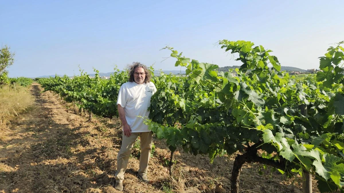 100% ecológicos en un Penedès que quiere revertir la severa caída en ventas