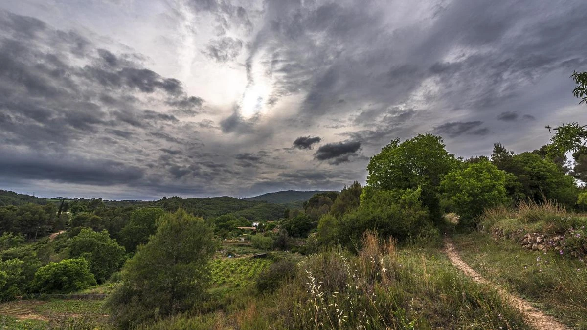 El camino a las nubes del Alt Penedès