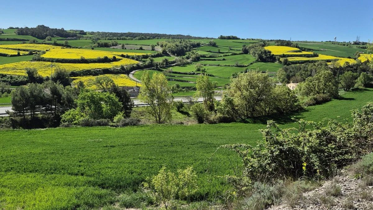 El mosaico primaveral de Montmaneu