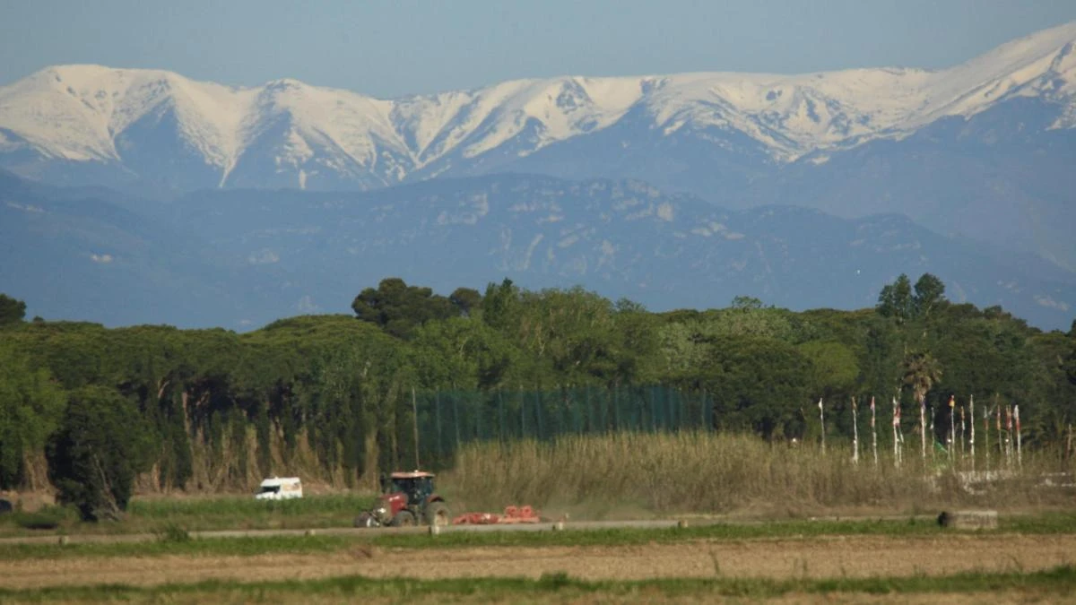 El trabajo del arroz en el Baix Empordà