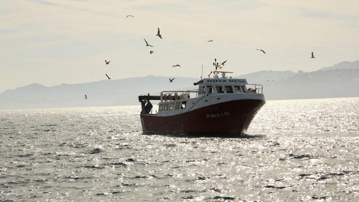 Las barcas vuelven al puerto