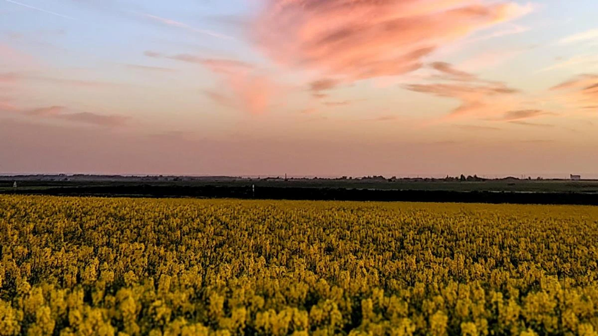 Atardecer de contrastes
