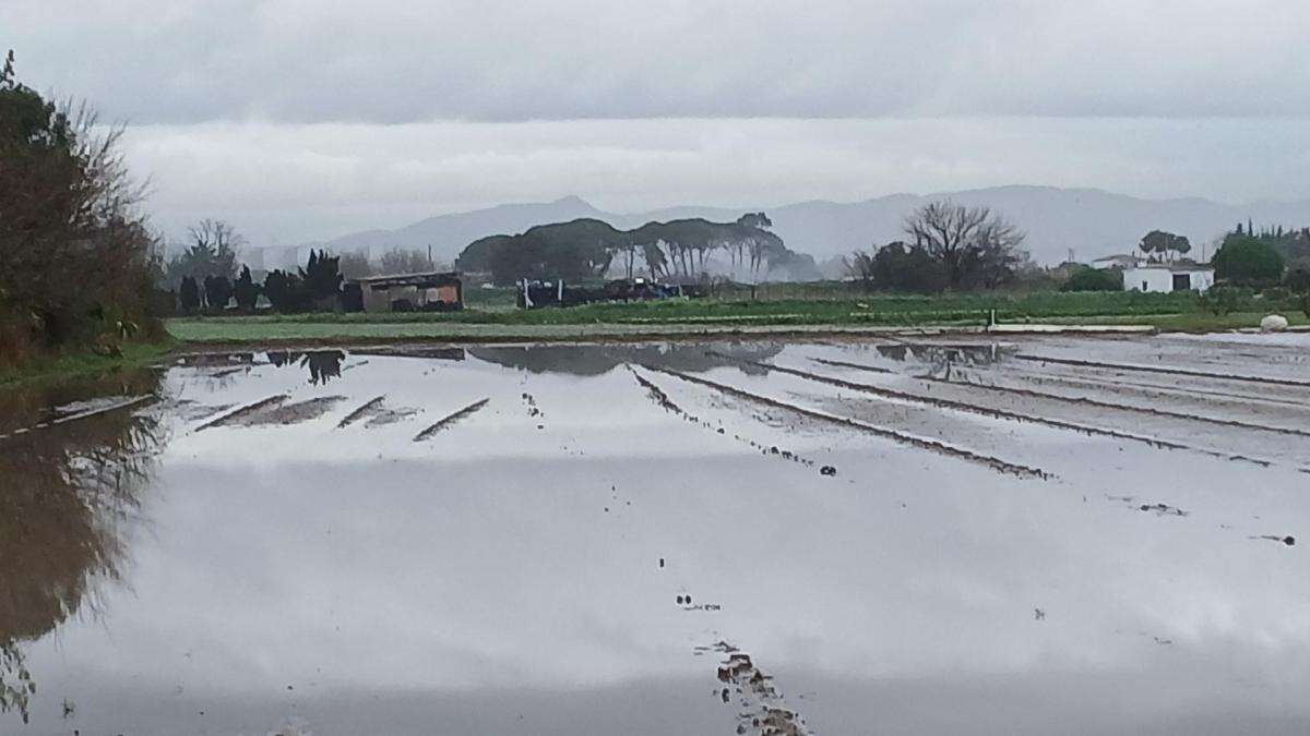 Campos agrícolas inundados en Gavà