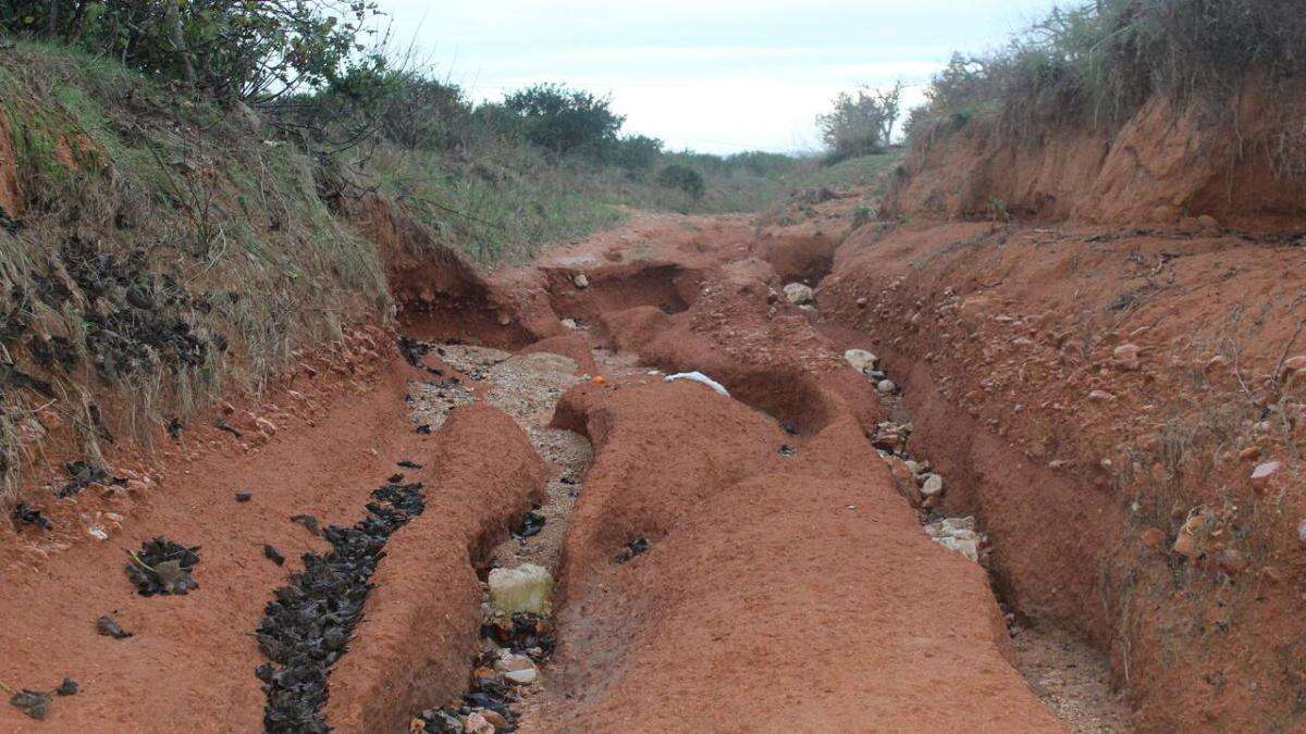 Cinc anys per recuperar la producció agrícola després de la dana: els pronòstics de la CEV