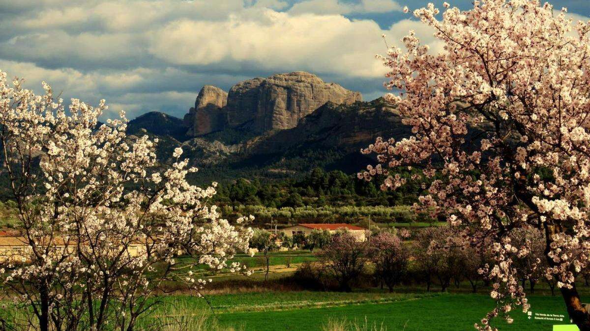 Estallido primaveral en Horta de Sant Joan