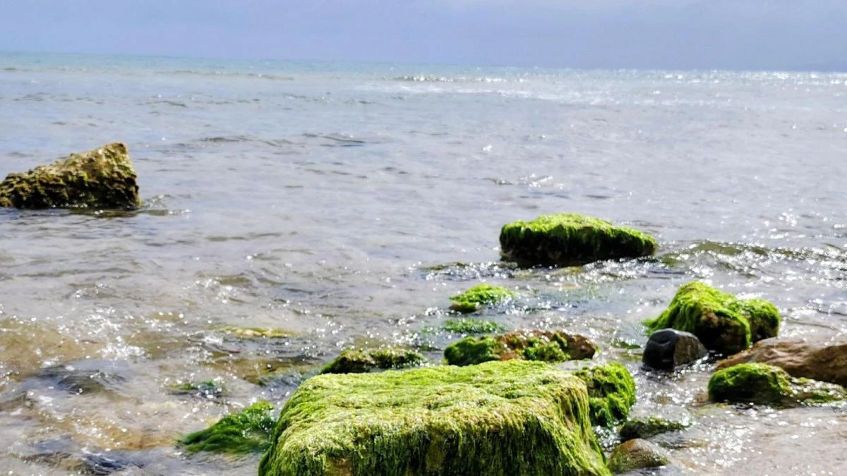 Invitación a la calma en Cambrils