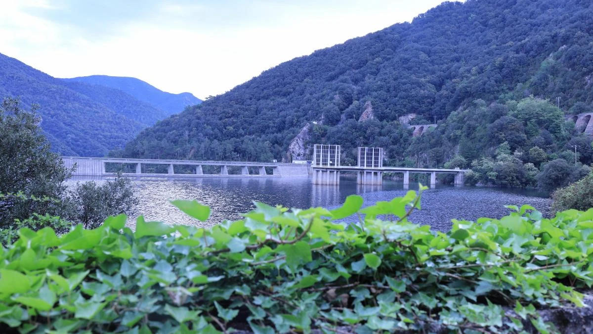 La primavera de los pantanos más llenos