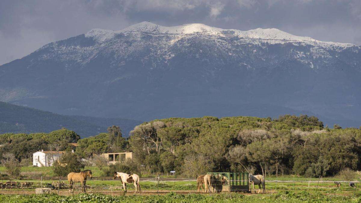 El sombrero de nieve del Montseny