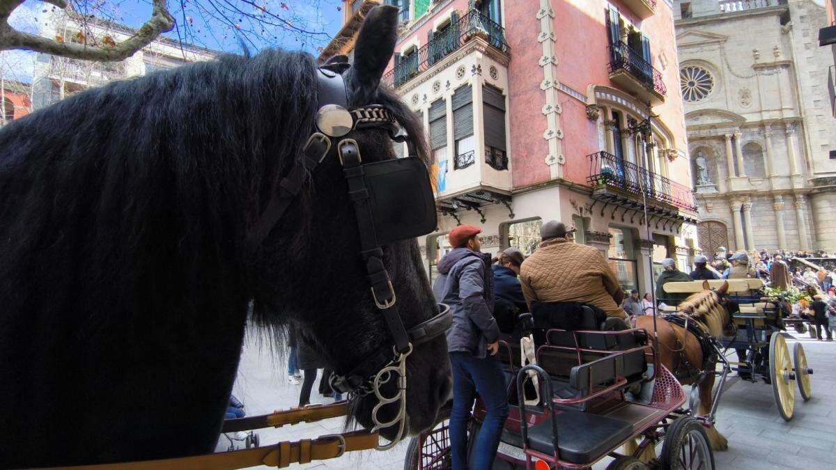 Caballos con bendición en Olot