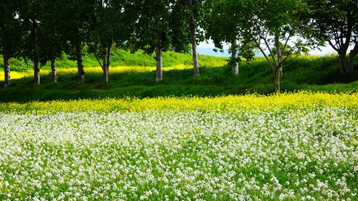 Invitación a disfrutar del campo