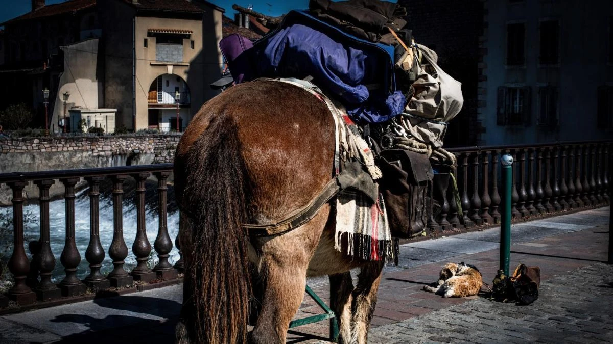 El curioso trotamundos del Pirineo