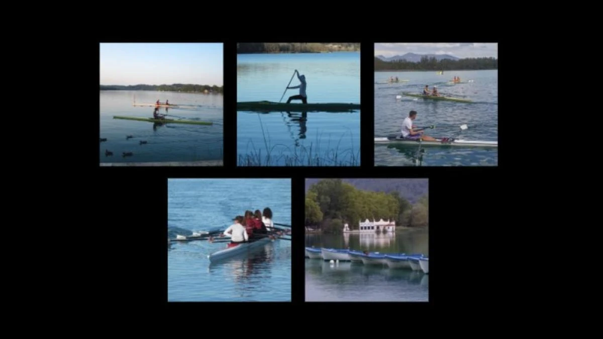 Los remeros del estanque de Banyoles
