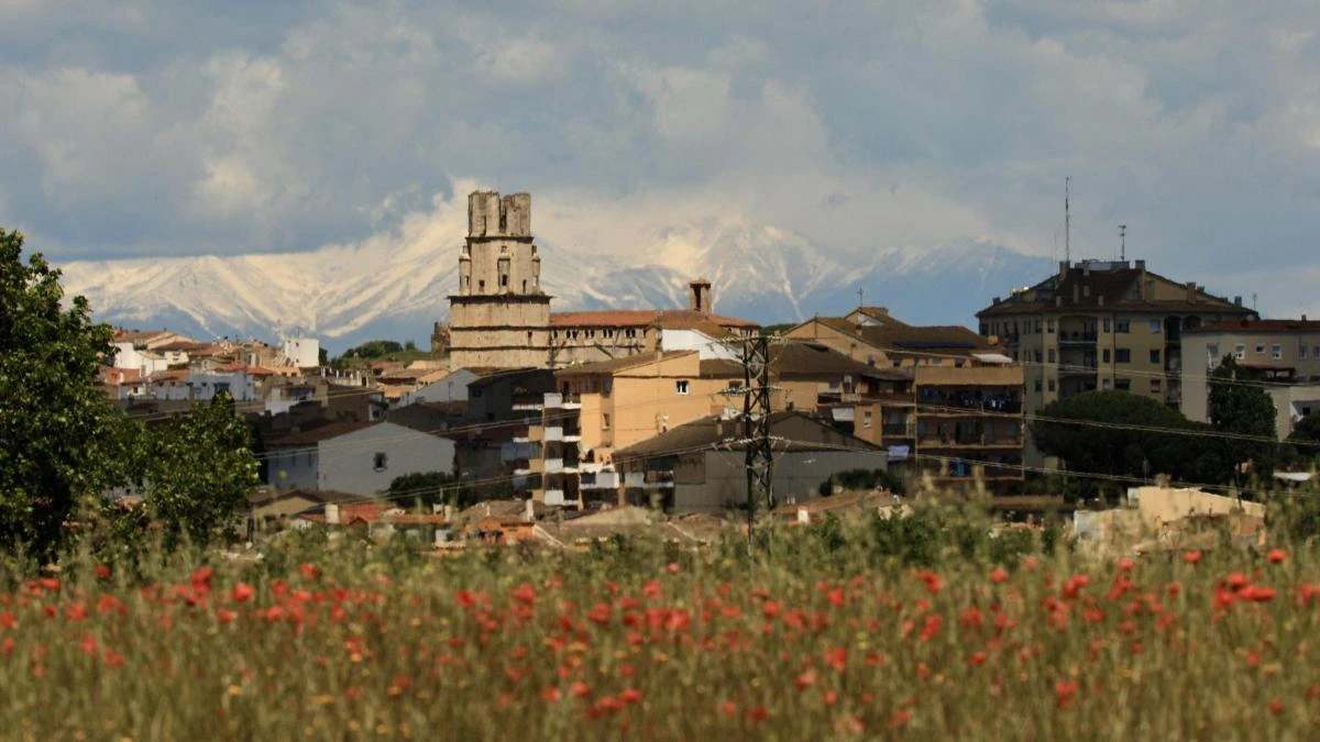 Flores y nieve desde Palafrugell