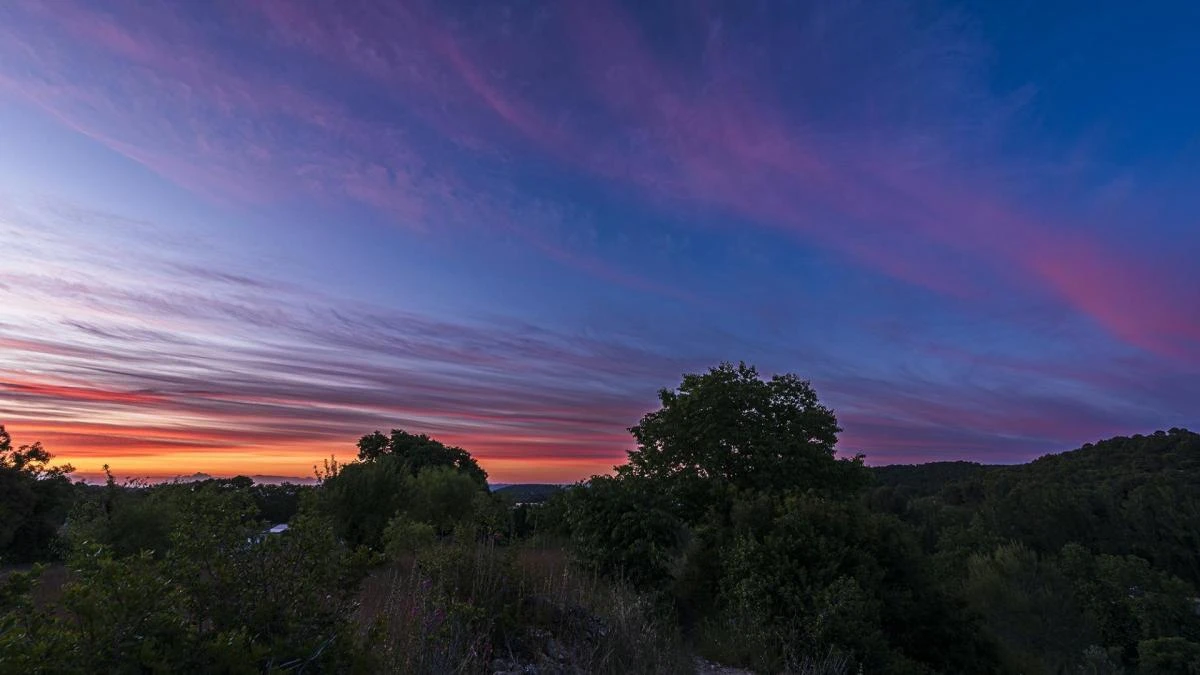 Gran paleta de colores en el Alt Penedès