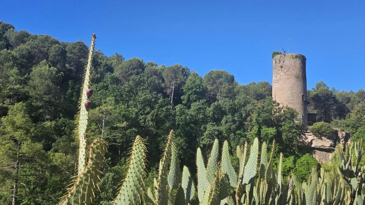 La primavera radiante de las Torres de Fals