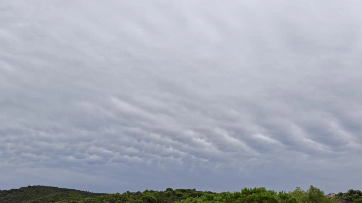 Los fascinantes Stratocumulus undulatus