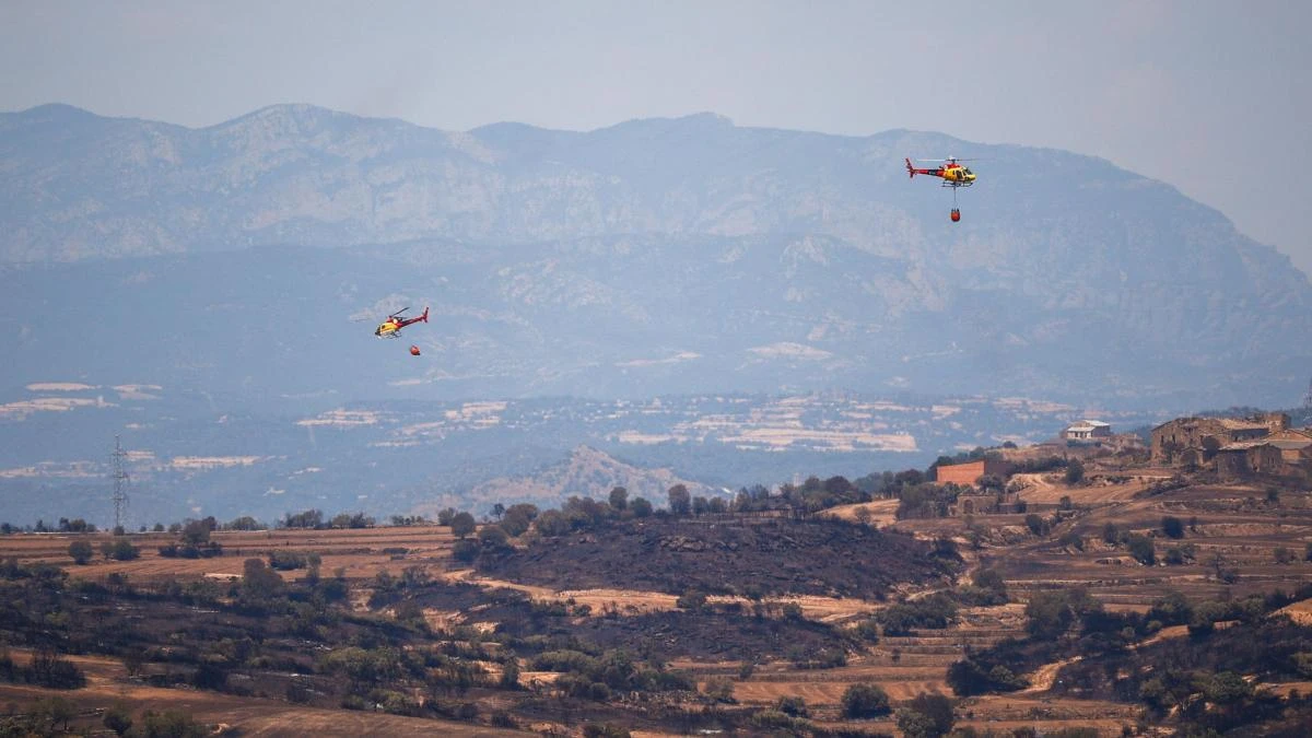 Encuesta: ¿Debe reducirse la masa boscosa para prevenir incendios?