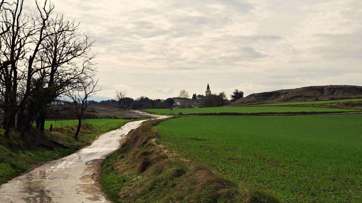 La lluvia deja balsas llenas y campos verdes