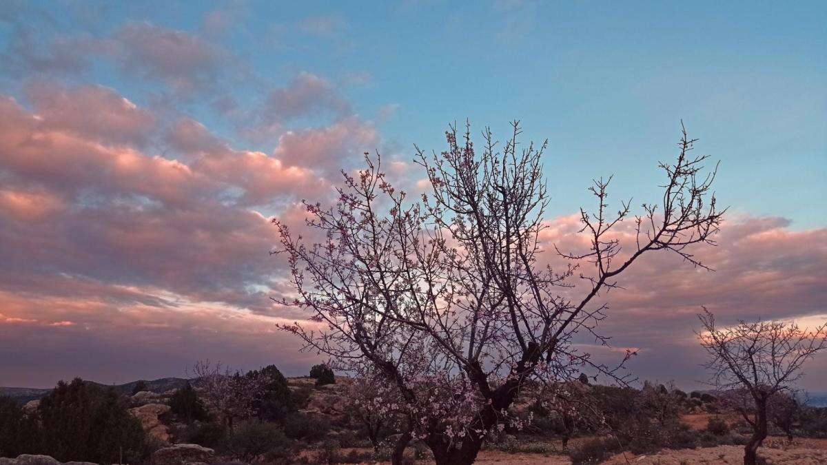 Así se despidió febrero en el Bajo Aragón