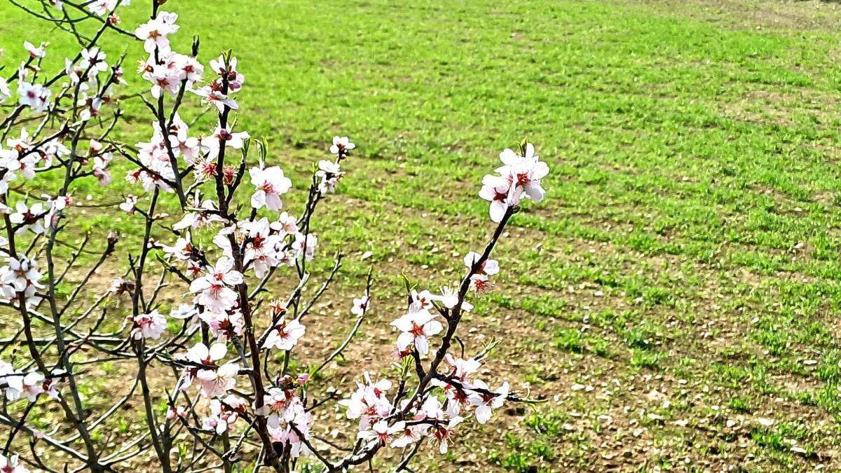 La primavera ya se respira en Calders