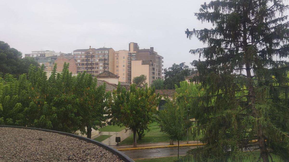 Reto visual: ¿Eres capaz de descubrir qué rareza hay en este paisaje de árboles y casas?