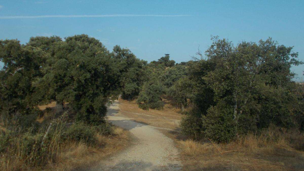 Historias y leyendas del cerro Garabitas