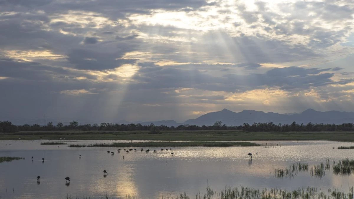 La luz del gran santuario natural del Empordà