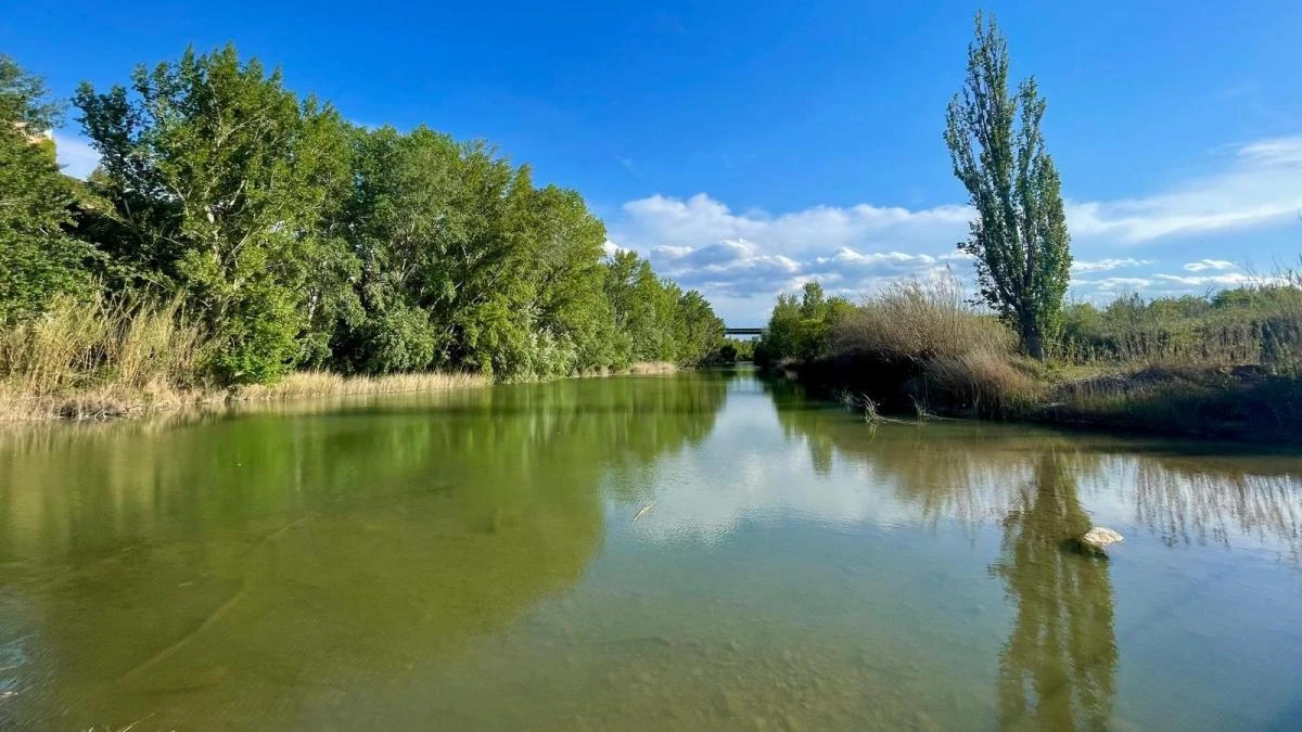 El histórico Azud de Alcañiz