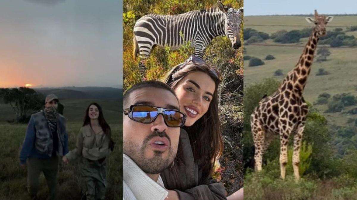 Las increíbles fotos de Violeta Mangriñán y Fabbio Colloricchio disfrutando de un safari en Sudáfrica: ''Ojalá yo''