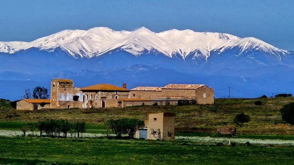 La gran primavera blanca del Canigó
