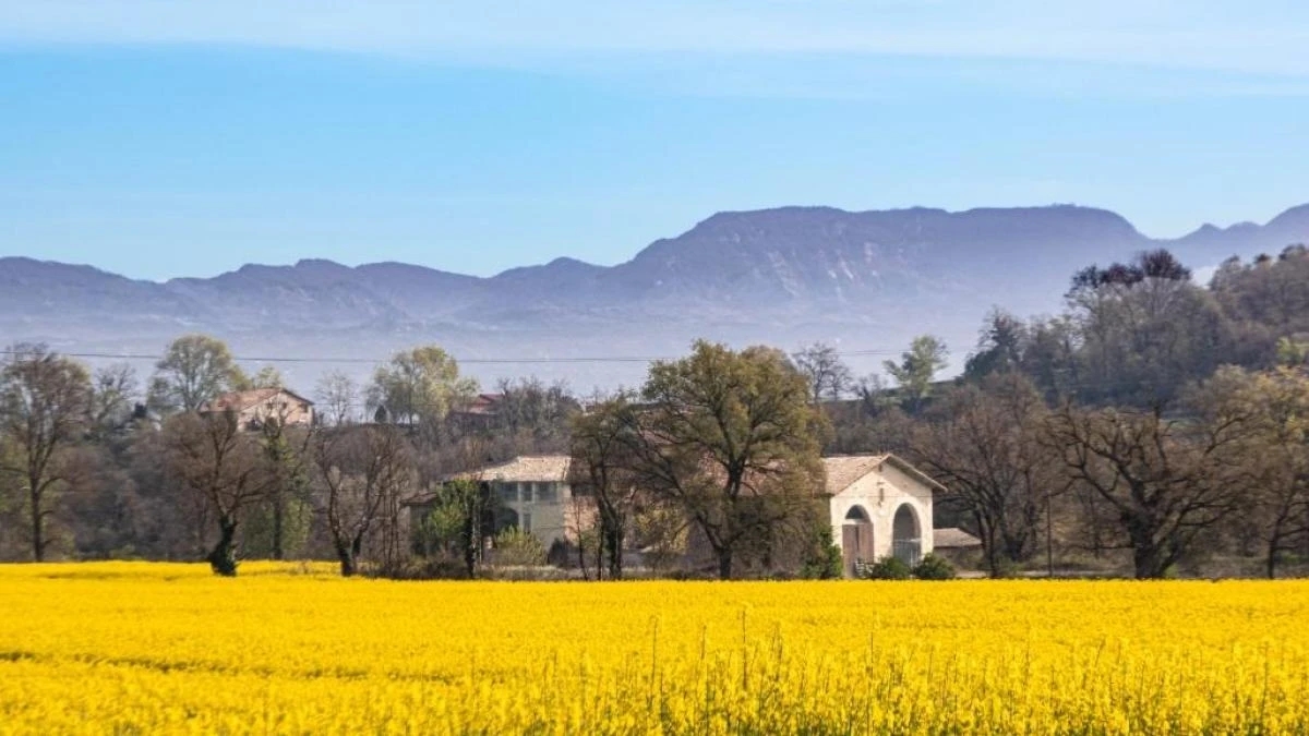 El juego de contrastes de la primavera