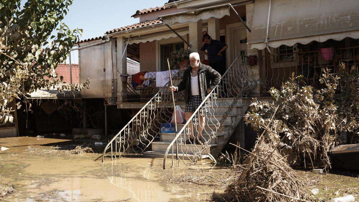 Metamórfosi: mover tu pueblo o morir