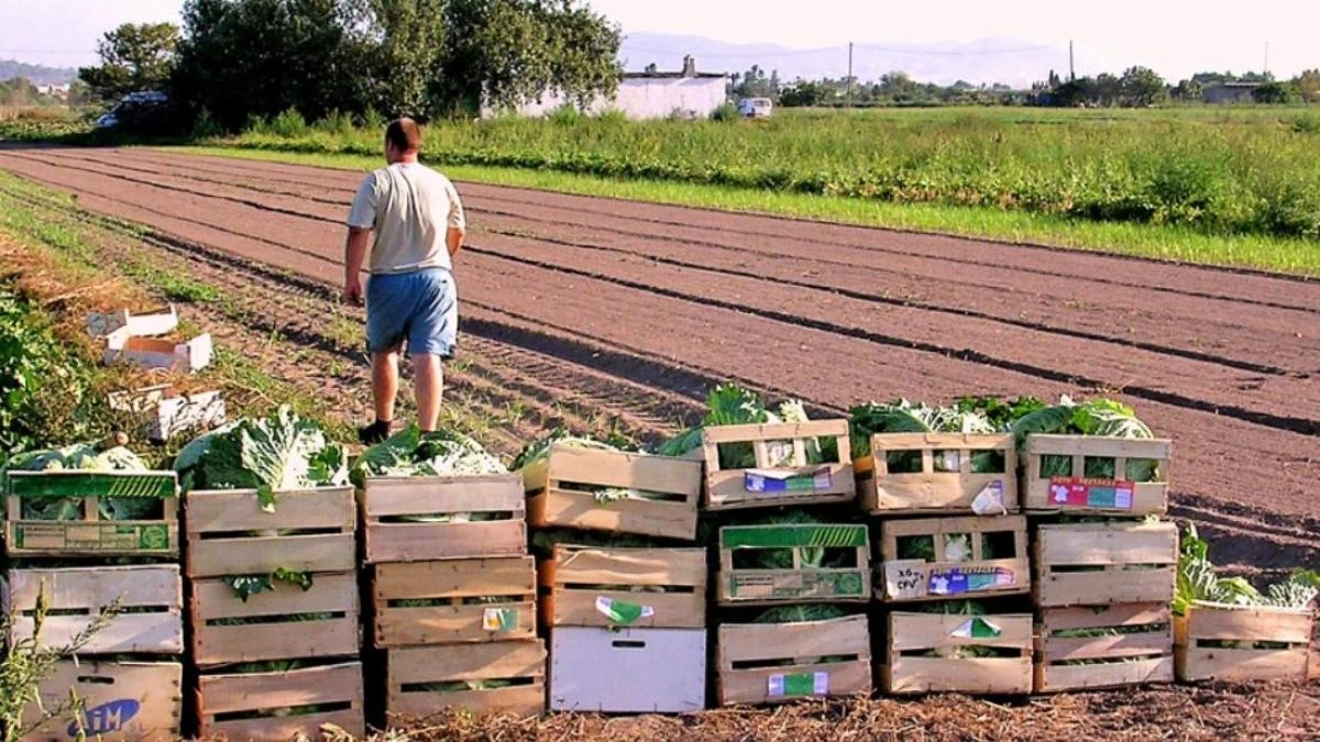 La gran despensa del Delta del Llobregat