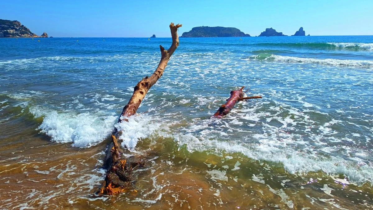 El camino de regreso al mar en L'Estartit
