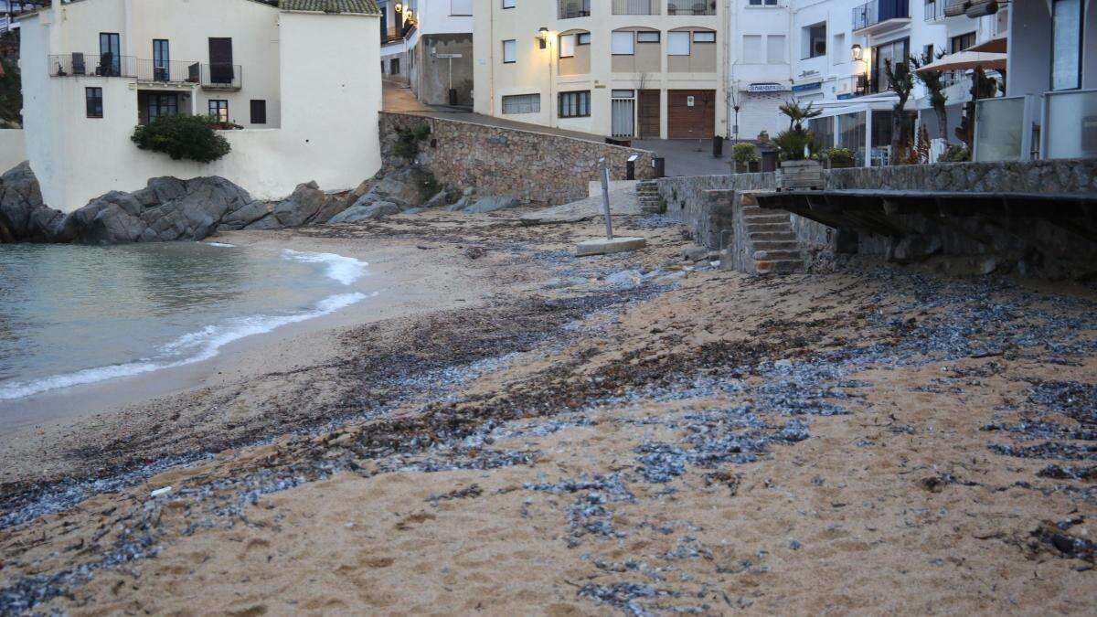 ¿Por qué huele tan mal en la playa?