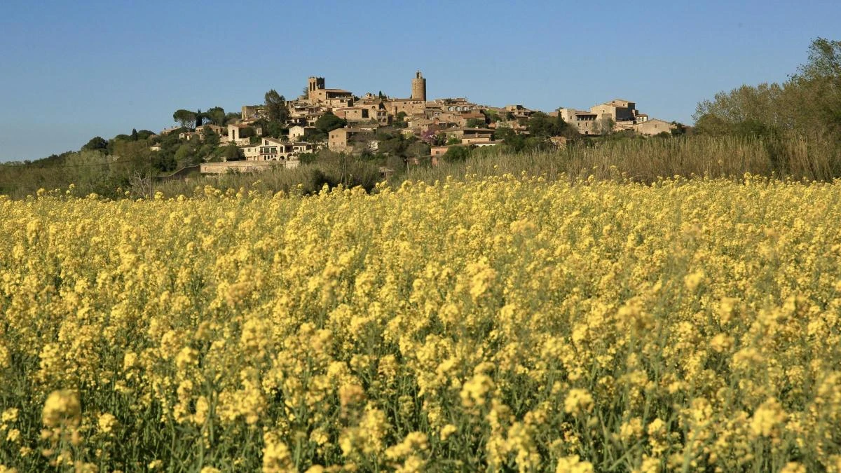 El encanto amarillo de Pals