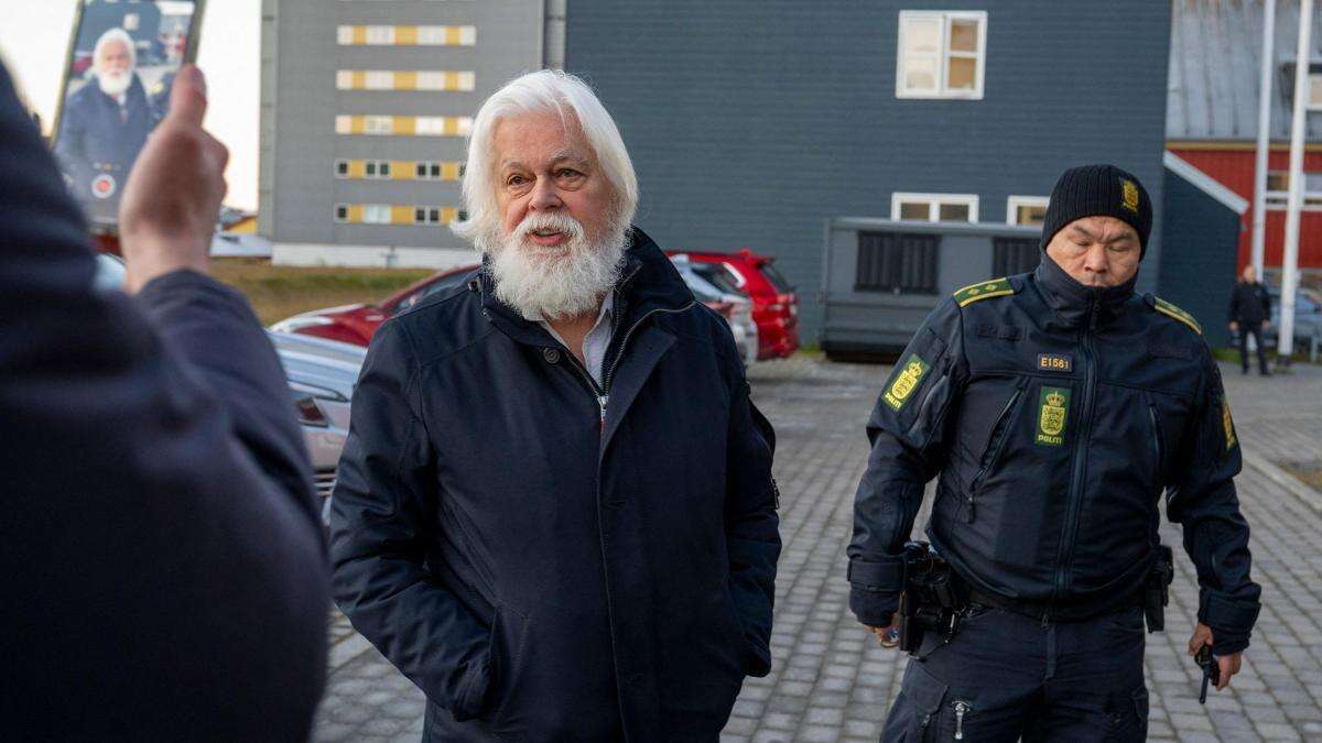 Dinamarca no extradita a Japón al defensor de ballenas Paul Watson y decreta su libertad