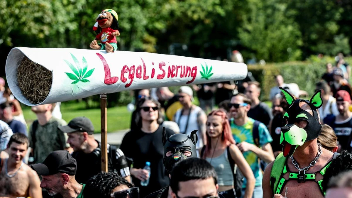 La mayor potencia del cannabis actual eleva las adicciones y el riesgo de psicosis