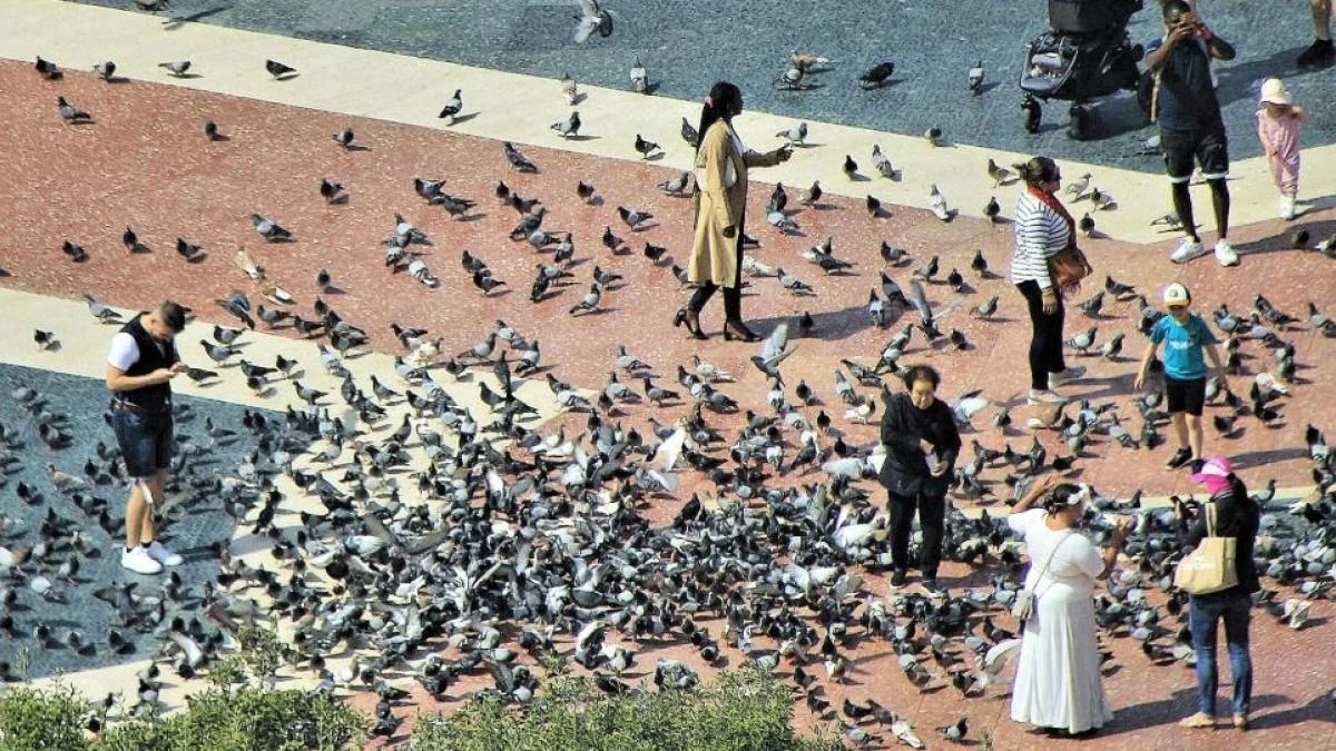 Confluencia de concentraciones urbanas en el corazón de Barcelona
