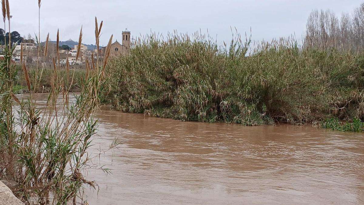 Llobregat de chocolate en Sant Boi