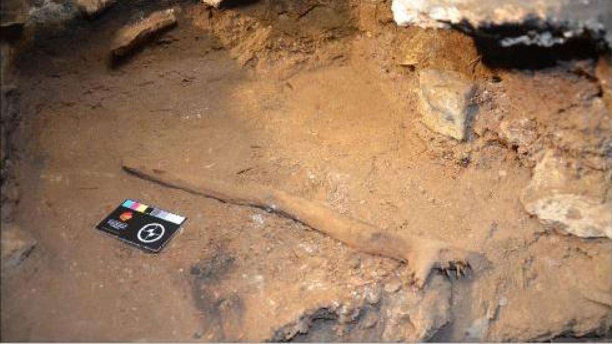 El ritual humano que se transmitió durante 500 generaciones y abarcó hasta 12.000 años