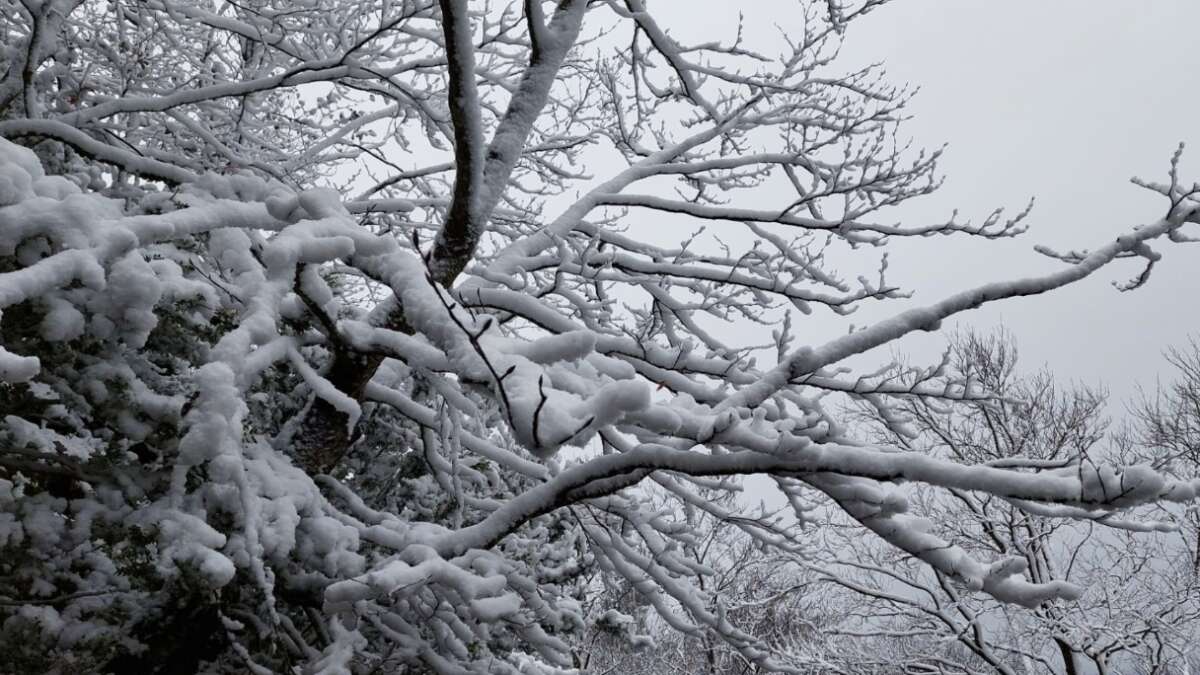 El invierno se quiere despedir con nieve