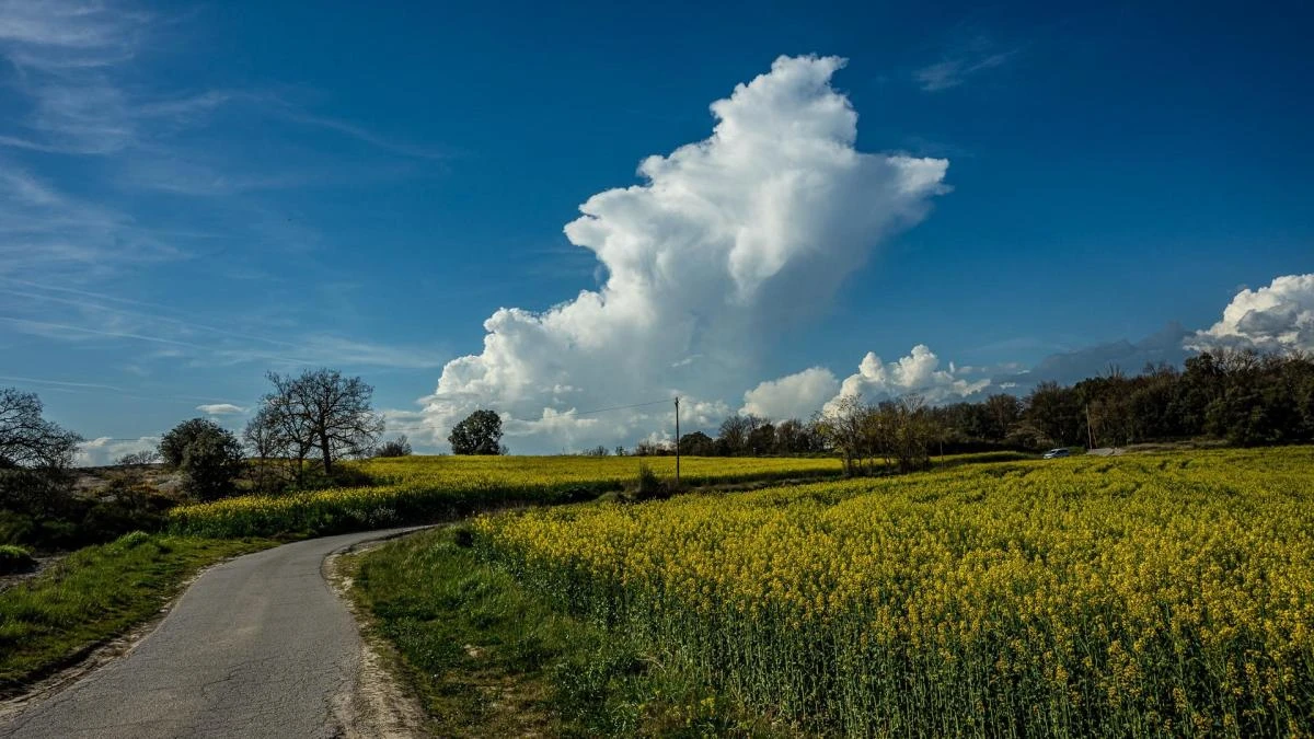 El campo de nubes de la primavera