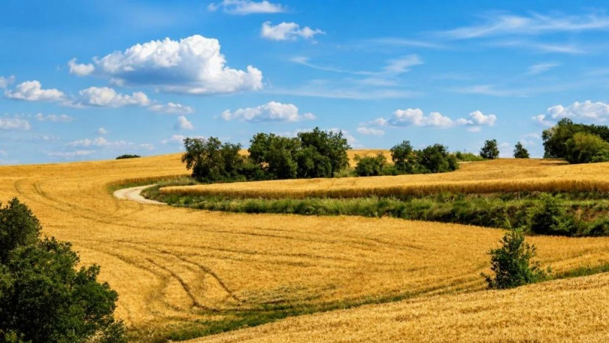 Los paisajes infinitos del Solsonès